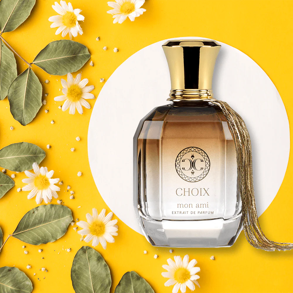 CHOIX Mon Ami