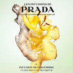 PRADA Infusion de Gingembre